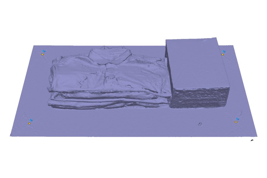 Untextured mesh of the scene